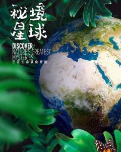 深入探索他们是娱乐圈里的模范夫妻,戏里也演过夫妻,那么多年来传过绯闻吗?,加入知识星球平台